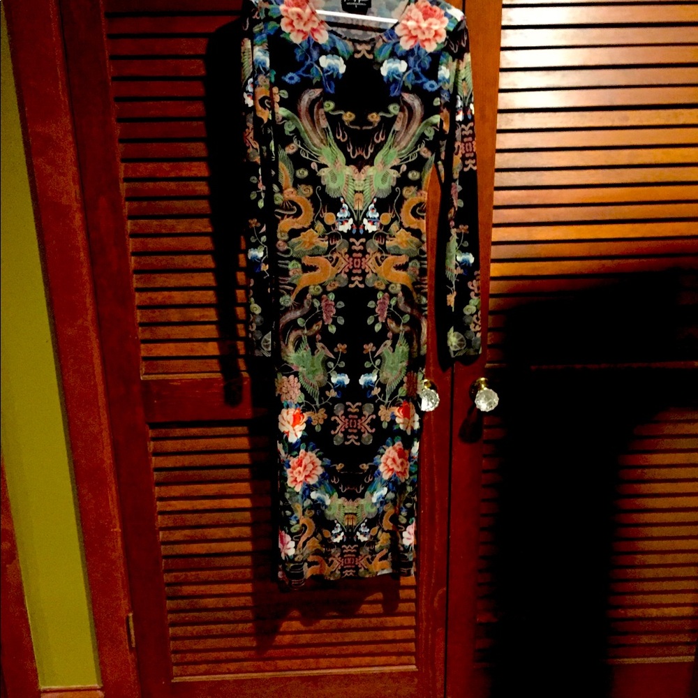 Ornate long sleeve mesh dress